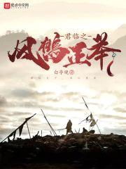 君临之风鹏正举封面