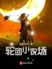 轮回小农场封面