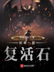 我有一颗复活石封面