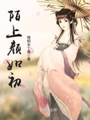 陌上颜如初封面