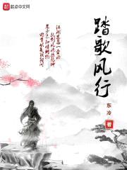 踏歌风行封面