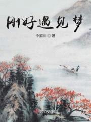 刚好遇见梦封面