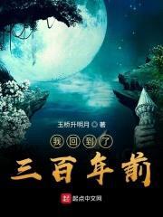 我回到了三百年前封面