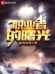 职业者的曙光封面