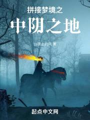 拼接梦境封面