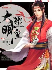 大明圣皇封面