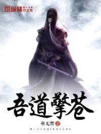 吾道擎苍封面