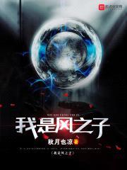 我是风之子封面