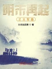 明末再起之义军路封面