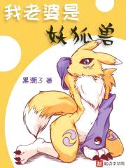我老婆是妖狐兽封面