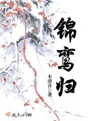 锦鸾归封面