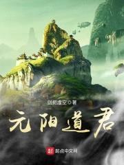 元阳道君封面