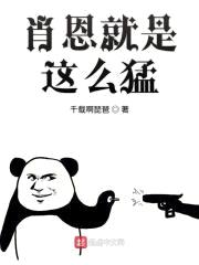 肖恩就是这么猛封面