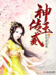 神玉传贰封面