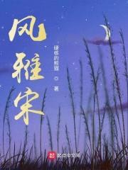 风雅宋封面