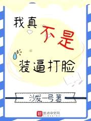 我真不是装逼打脸封面