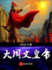 大周文皇帝封面