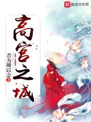 高宫之城封面