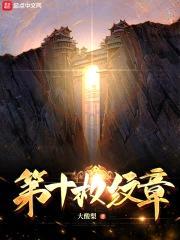 第十枚纹章封面