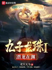 九子龙珠1潜龙在渊封面