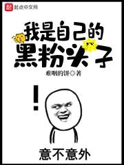 我是自己的黑粉头子封面