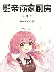 影帝你家厨房又炸啦封面