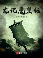 龙记魔皇传封面
