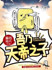 吾乃天帝之子封面