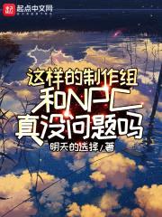 这样的制作组和NPC真没问题吗封面