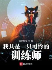 我只是一只可怜的训练师封面