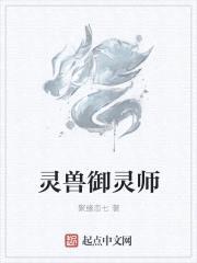 灵兽御灵师封面