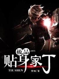 贴身家丁封面