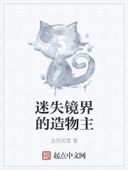 迷失镜界的造物主封面
