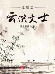 红楼之云泱文士封面