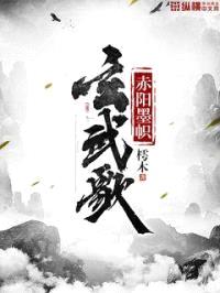 赤阳墨帜玄武歌封面