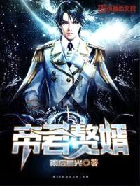 帝君赘婿封面