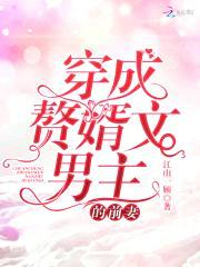 穿成赘婿文男主的前妻封面