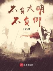 不负大明不负卿封面