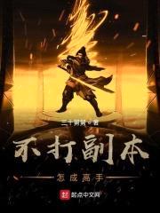 不打副本怎成高手封面