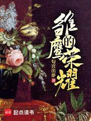 雏鹰的荣耀封面