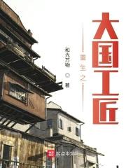 重生之大国工匠封面