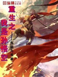 重生之我是孙悟空封面