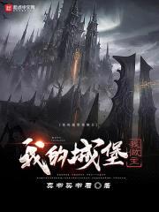 我的城堡我做主封面