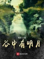 谷中有明月封面
