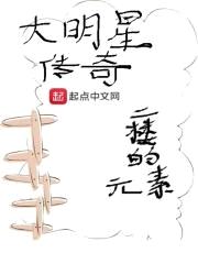 大明星传奇封面
