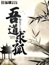 吾道求孤封面