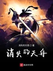 消失的天舟封面