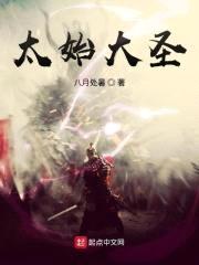 太始大圣封面
