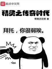精灵之传奇时代封面
