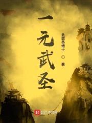 一元武圣封面
